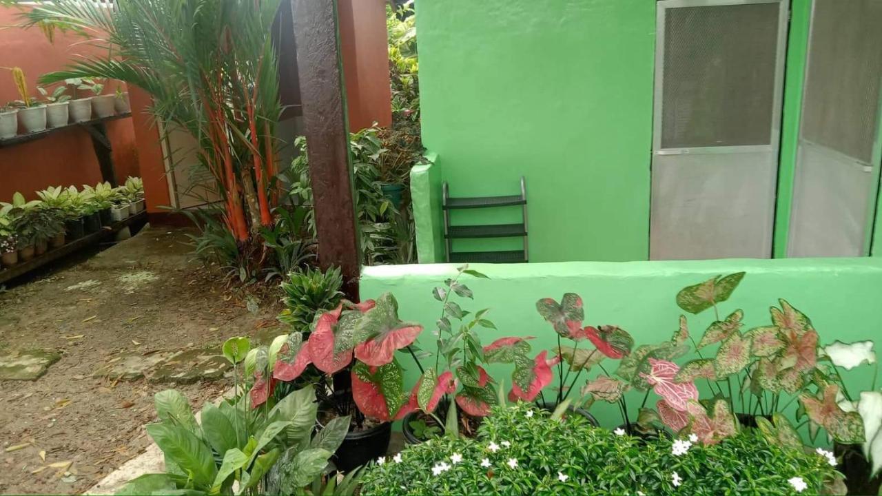 Charity Pension House San Vicente  Dış mekan fotoğraf
